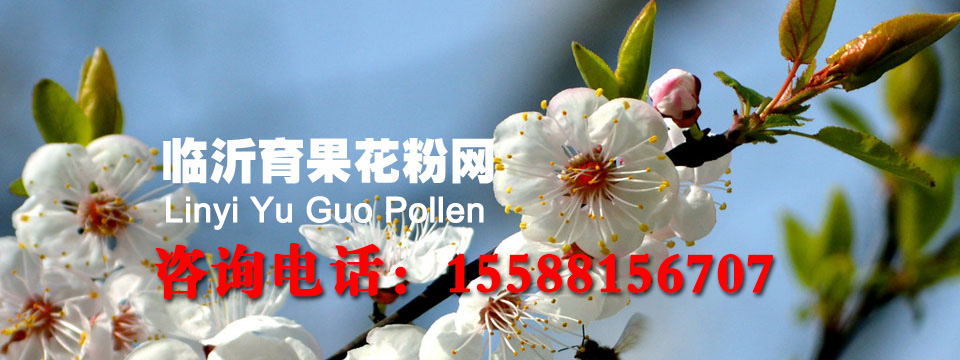 Ә(sh)ڷۻ