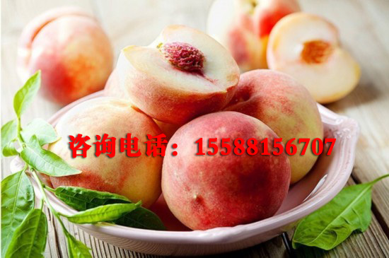 ļ